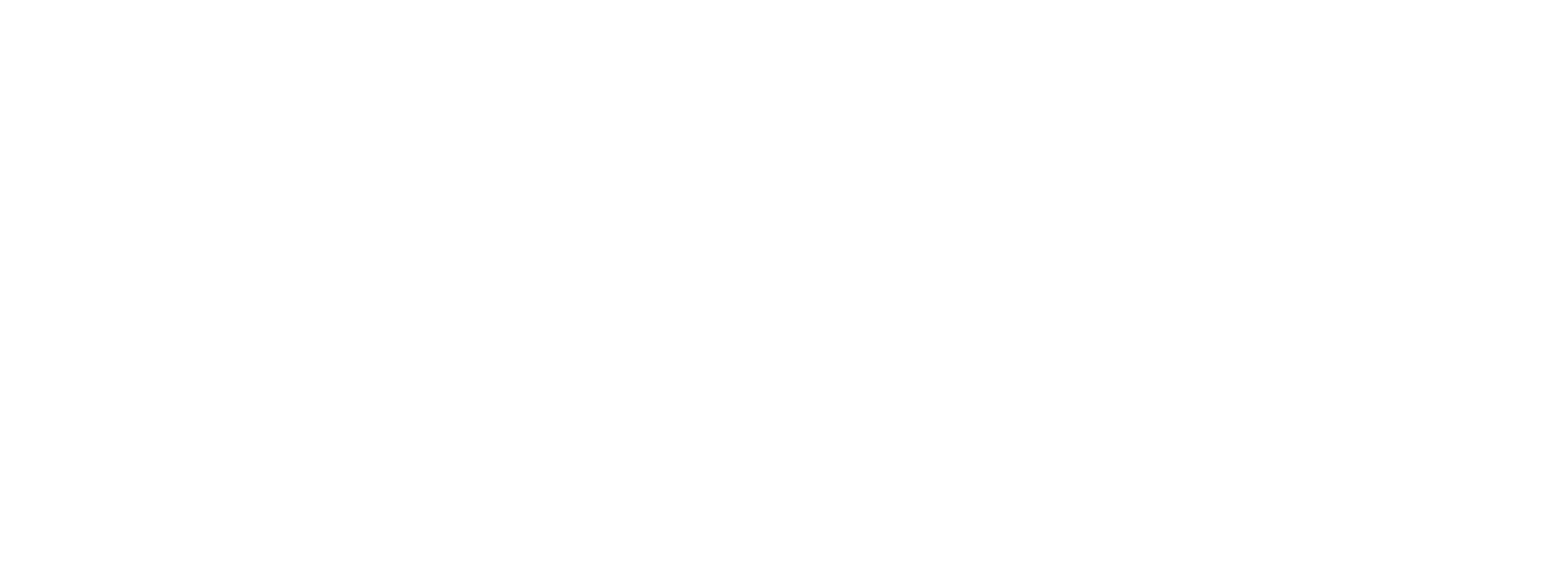 Straylight Orbital